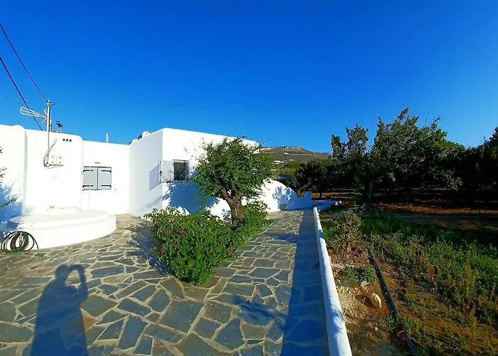 Apartman Bonzoe #3 *