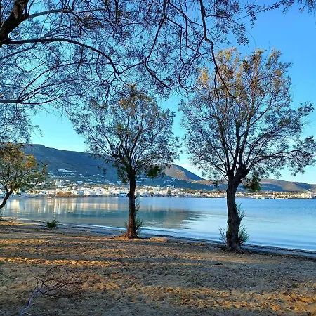 Appartement Bonzoe #3