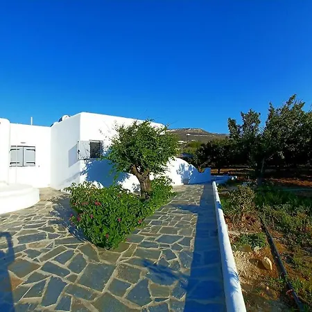 Apartamento Bonzoe #3 *