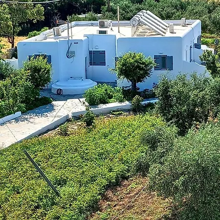 Apartment Bonzoe #3